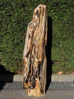Fossiel Hout 250313, 90 cm