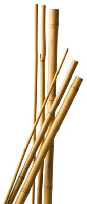 Bamboestokl H60cm dia. 6-8mm set a 10 stuks - Nature