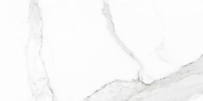 Statuario glans 30x60 rett vloertegels / wandtegels gerectificeerd | Geschikt voor vloerverwarming Statuario glans 30x60 rett vloertegels / wandtegels gerectificeerd | Geschikt voor vloerverwarming