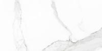 Statuario glans 30x60 rett vloertegels / wandtegels gerectificeerd | Geschikt voor vloerverwarming