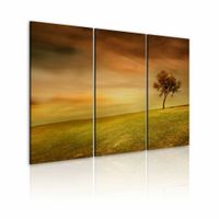 Schilderij - Eenzame boom op een veld , oranje groen , 3 luik - thumbnail