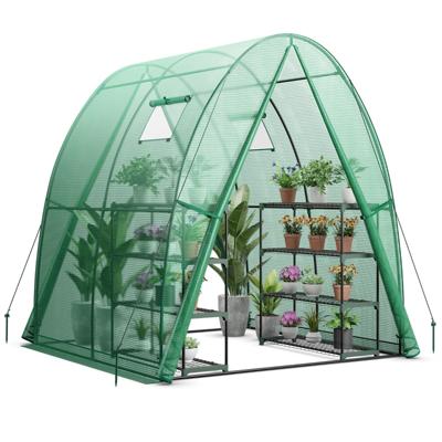 Draagbare Buitenkas 2 Deuren met Rits 2 Oprolbare Muggengaasramen Weerbestendig PE Dekzeil Zijvak voor Tuin Erf Groen 181 x 181 x 200 cm