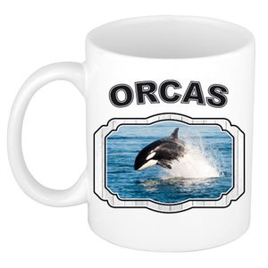 Dieren orka beker - orcas/ orka vissen mok wit 300 ml