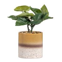 40% korting - Op=Op | Leen Bakker - Kunstplant Alocasia In Pot - Groen/bruin - 30 Cm - Kunststof - Groen#Bruin