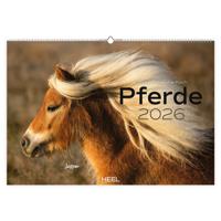 Paarden Kalender 2026 Groot