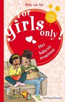 Het grote babysitavontuur