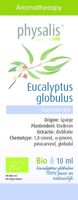 Eucalyptus globulus bio