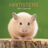 Hamster Kalender 2026