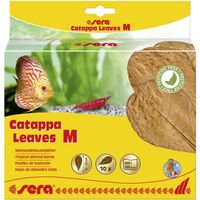 Catappa Leaves M 16 - 20 cm