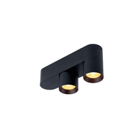 Trizo21 - Audy 2 up Rounded Plafondlamp
