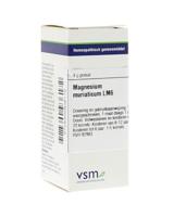 VSM Magnesium muriaticum LM6 4 Gram