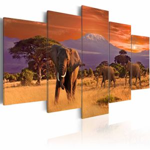 Schilderij - Het marcheren van Olifanten - Afrika, multi-gekleurd, 5luik, wanddecoratie