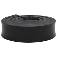 VidaXL Rubberen rand voor sneeuwploeg 250x10x2 cm zwart