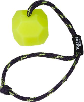 Julius K9 IDC Fluoriserende Bal