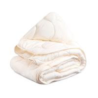 Dekbed Easy Dekbed Najaarskleuren - Enkel , Easy - zonder overtrek - 240x200 cm (Lits-Jumeaux) - Zydante - 300 gsm - Dekbed-Discounter.nl