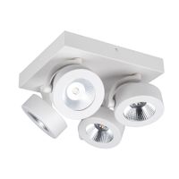 BC0034 LED-opbouwspot 4x10W 2700K Dimbaar Wit