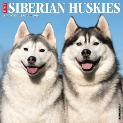 Siberische Husky Kalender 2026
