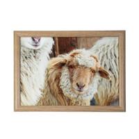 Mars & More Schootkussen schaapjes beige 43x33x9cm