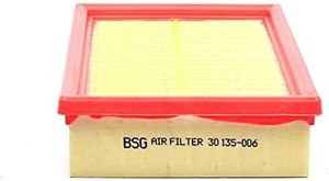 Luchtfilter BSG30135006