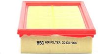 Luchtfilter BSG30135006