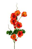Nasturium l78cm oranje kunstbloem Louis Maes - Louis maes