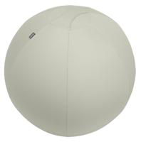 Leitz Ergo Grijs Binnen Bolvormig