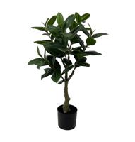 present time Kunstplant Rubber Tree 69cm - Groen - thumbnail