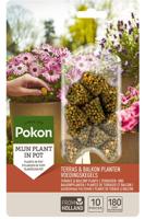 Pokon terras balkonplanten voeding langwkegels 10st