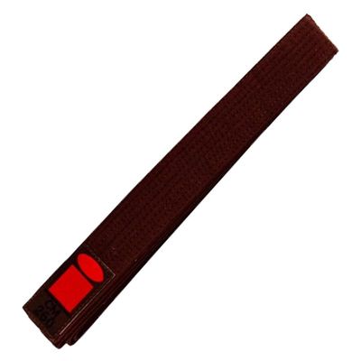 Essimo judo band Bruin