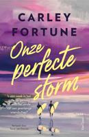 Onze perfecte storm - Carley Fortune - ebook