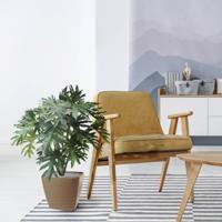 Philo Selloum kunstplant 100cm