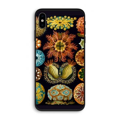 Haeckel Ascidiae: iPhone XS Biologisch afbreekbaar hoesje