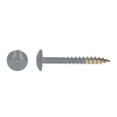 pgb-Europe PGB-FASTENERS | HPL schroef Tx20 4,8x38 R7045 A4 TRESP0A00038070453