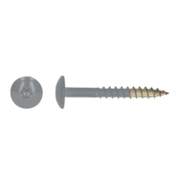 pgb-Europe PGB-FASTENERS | HPL schroef Tx20 4,8x38 R7045 A4 TRESP0A00038070453