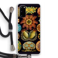 Haeckel Ascidiae: Samsung Galaxy S20 Transparant Hoesje met koord