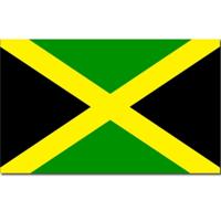 Vlag Jamaica - 90 x 150 cm - Jamaicaanse Vlag - Jamaica - polyester - supporters