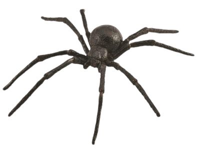 Collecta speelgoedspin zwarte weduwe junior 14 cm ABS zwart Collecta speelgoedspin zwarte weduwe junior 14 cm ABS zwart