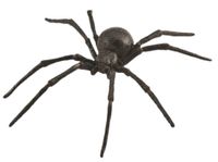 Collecta speelgoedspin zwarte weduwe junior 14 cm ABS zwart - thumbnail