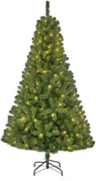 Black Box Trees Charlton verlichte kunstkerstboom voor buiten groen 215cm - 360 lampjes