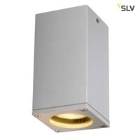 Plafondlamp buiten THEO GU10 Zilvergrijs