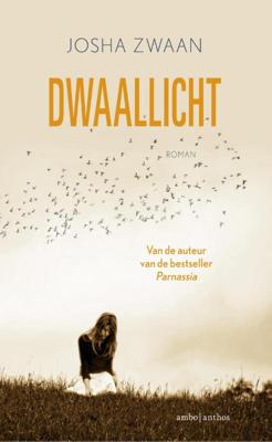 Dwaallicht (Paperback)