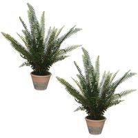 Set van 2x stuks groene Varen kunstplanten 60 cm in pot