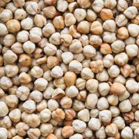 hazelnoten wit geroosterd ongezouten 450 gram