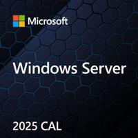 MS Windows Svr CAL 2025 PL 5Clt Device CAL OEM