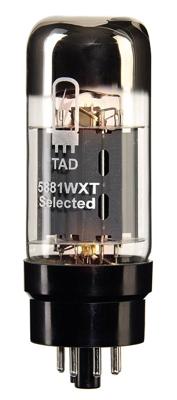 TAD 5881WXT/2
