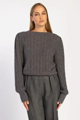 Aaiko Trui Femme | Grey