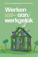 Werken aan werkgeluk - Fons Leroy, Katelijn Nijsmans, Dajo De Prins - ebook