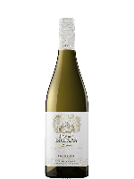 Torres Pazo das Bruxas Albariño | Witte wijn | Spaanse wijn | Gratis verzending v.a. 6 flessen