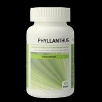 Ayurveda Health Phyllanthus niruri 120 Tabletten