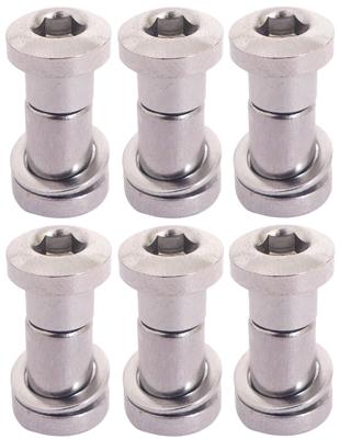 Bofix Zadelpenbout inbus 19 mm - chroom (6 stuks)